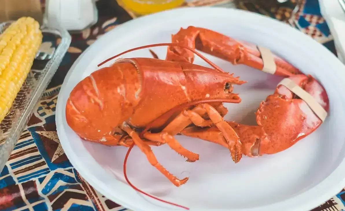 Photo by Daniel Norris - lobster on Unsplash