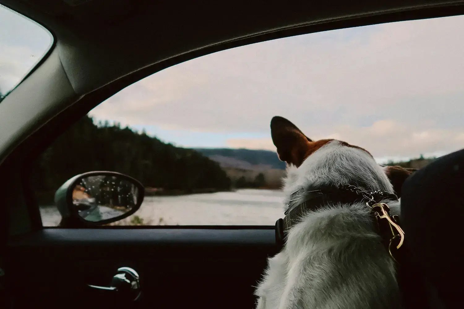 Photo by Lauren Guardala - Car image on Unsplash
