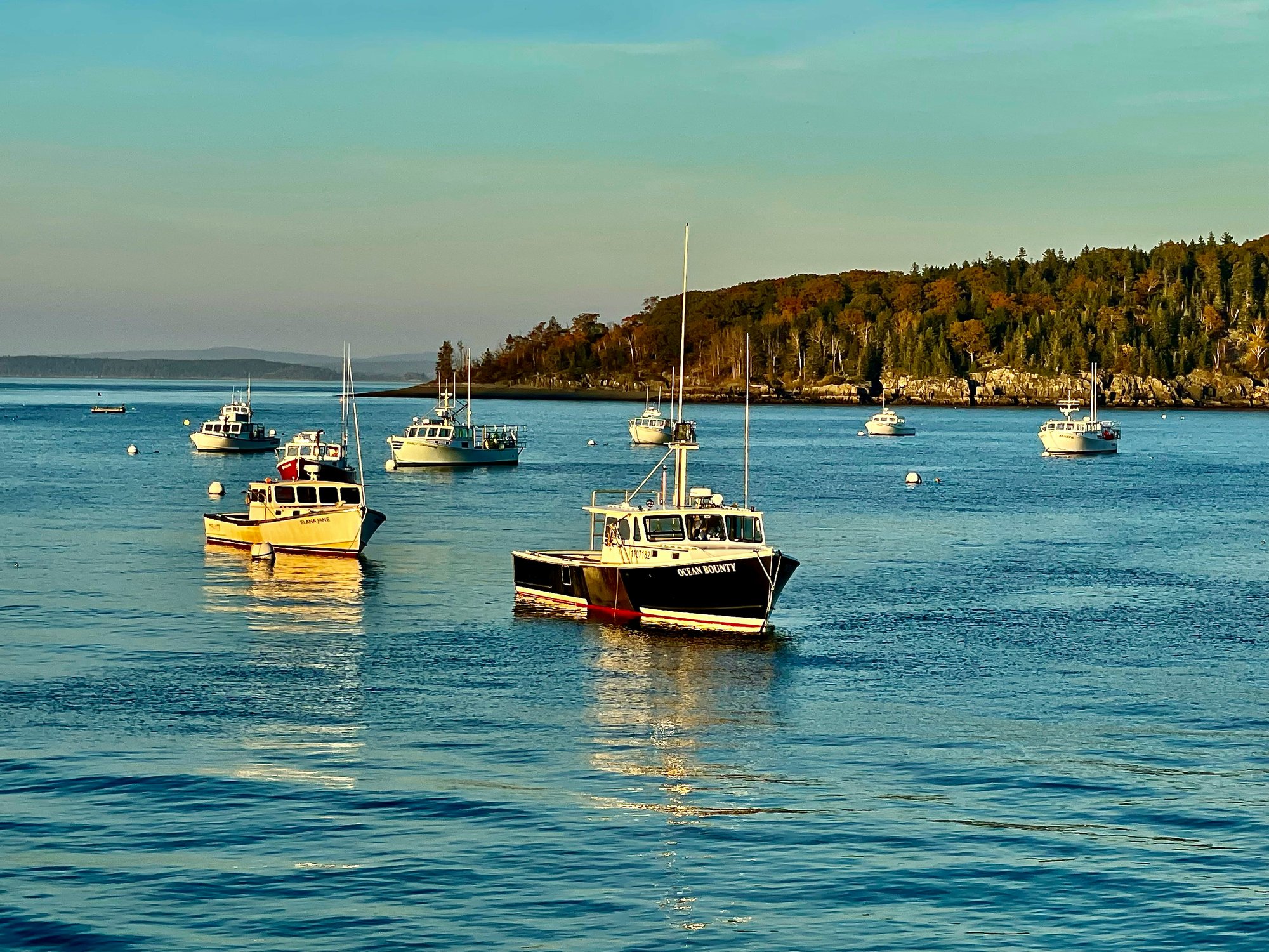 harbor (1)